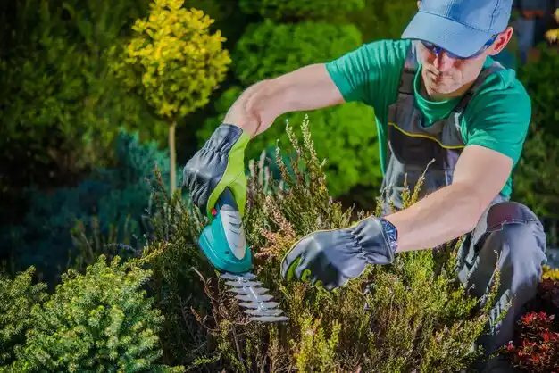 landscaping services Lakeside Park